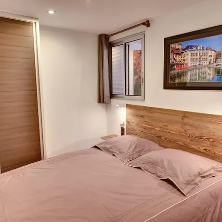 Cozy Between And Mountains Annecy